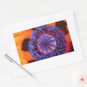 Oranje klaproos van dichtbij rechthoekige sticker (Envelop)