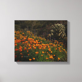 Oranje klaprozen woestijnbloemen cholla cactus canvas afdruk