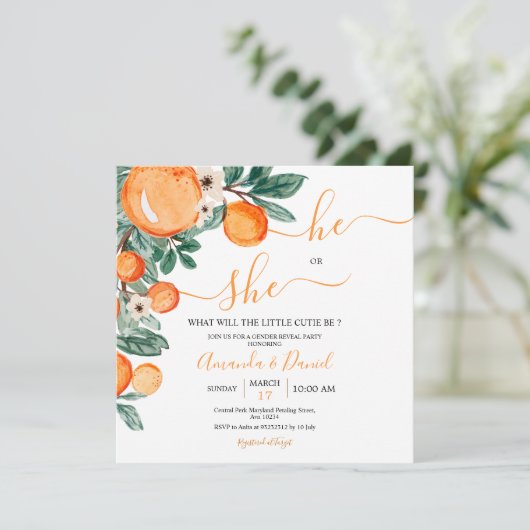 Oranje kleine das Hij of zij onthullen Kaart (Staand voorkant)