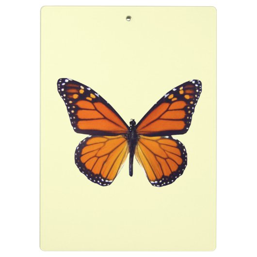 Oranje klembord voor vlinder (Achterkant)