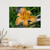 Oranje kleur daglily -tijgerlily- bloem. poster (Keuken)