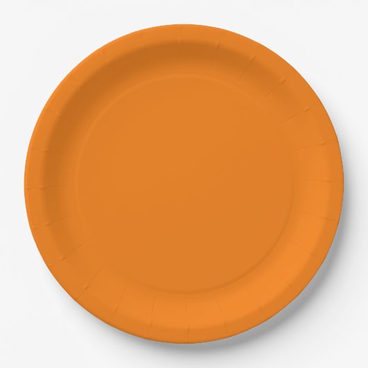 Oranje Kleur Papieren Bordje (Voorkant)