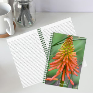 Oranje Kniphofia Bloem Bloemen Notitieboek