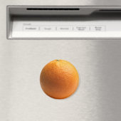 Oranje koelapparaat voor fruit Magnet (Insitu (Vaatwasser))