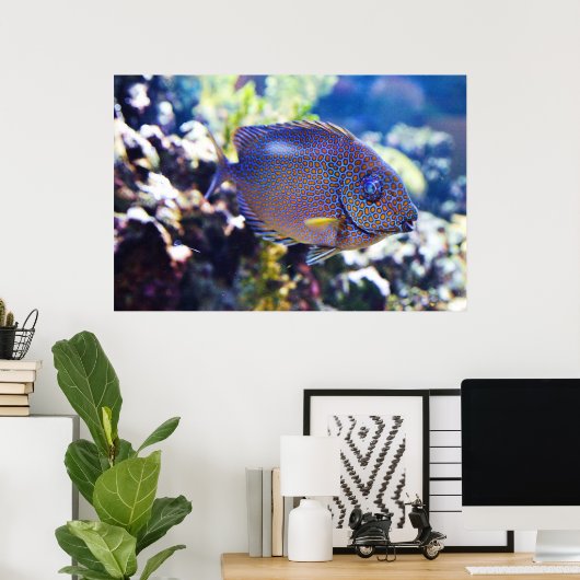 Oranje konijnenvis poster (Thuiskantoor)