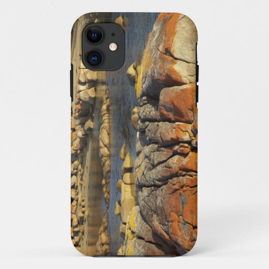 Oranje Korstmos op Rotsen, Binalong Bay, Baai van Case-Mate iPhone Case (Achterkant)