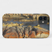 Oranje Korstmos op Rotsen, Binalong Bay, Baai van Case-Mate iPhone Case (Achterkant (horizontaal))