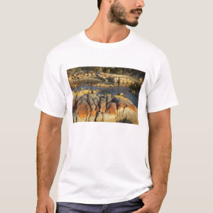 Oranje Korstmos op Rotsen, Binalong Bay, Baai van T-shirt