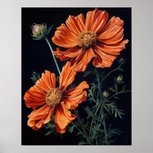 Oranje Kosmos Bloemen Art Print Poster