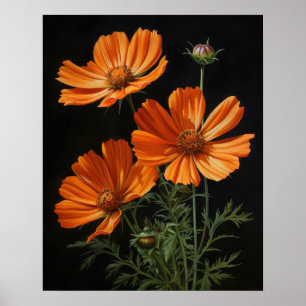 Oranje Kosmos Bloemen Art Print Poster