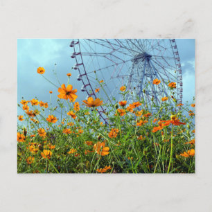 Oranje kosmos Flowers & Ferris Wheel: Tokyo Postca Briefkaart