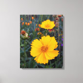 Oranje kosmos op voorgrondfoto canvas afdruk (Voorkant)