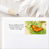 Oranje kruisvlieger etiket (Insitu)