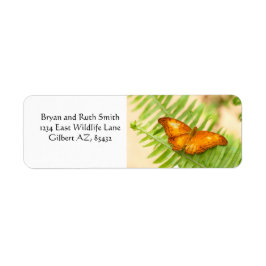 Oranje kruisvlieger etiket