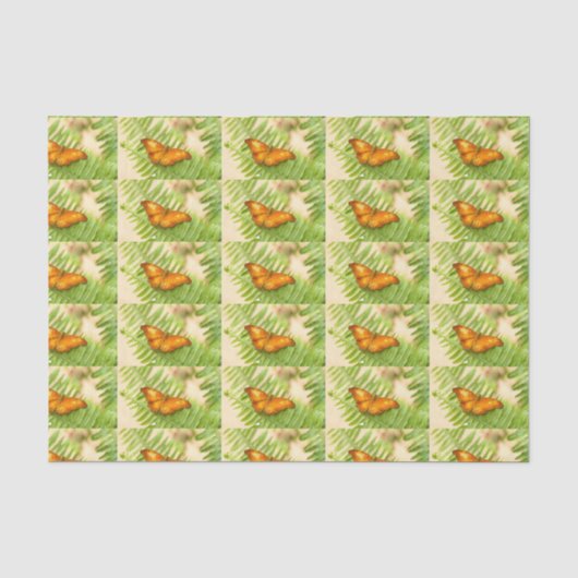 Oranje kruisvlieger tissuepapier (Voorkant)