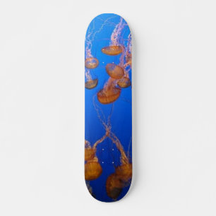Oranje Kwallen Skateboard