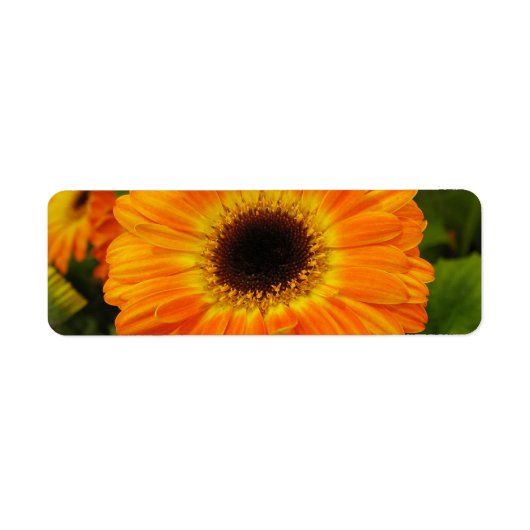 Oranje label voor blokadres (Voorkant)
