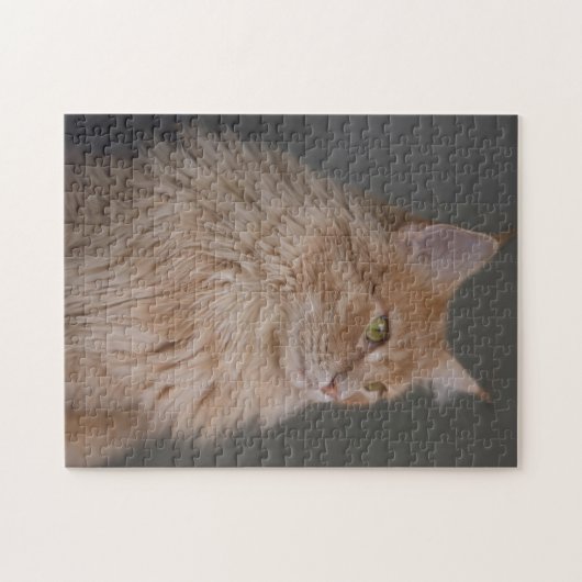 Oranje langwerpige kat legpuzzel (Horizontaal)