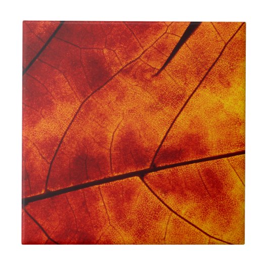 ORANJE LEAF TEGELTJE (Voorkant)