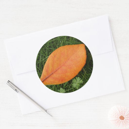 Oranje lederen Sticker (Envelop)