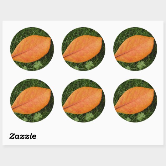 Oranje lederen Sticker (Vel)