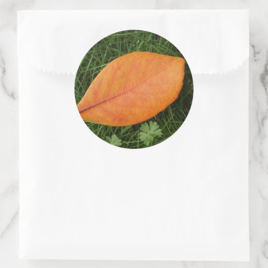 Oranje lederen Sticker (Tas)