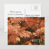 Oranje lekkages Fall Wedding RSVP Reactie Uitnodiging Briefkaart (Voorkant / Achterkant)