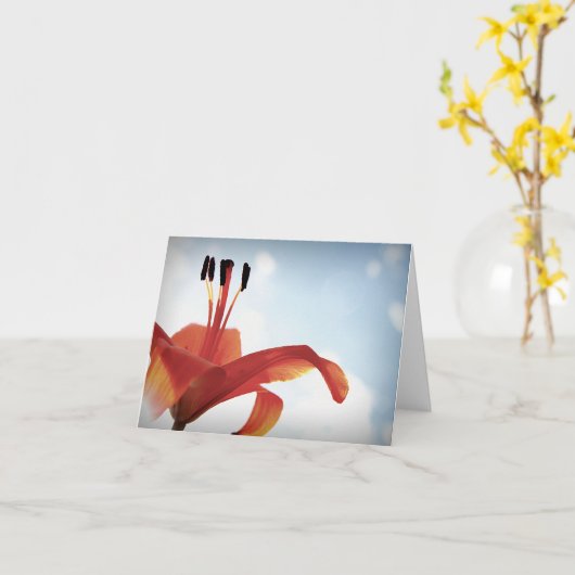 Oranje Lelie - Blank Kaart (Gele Bloem)