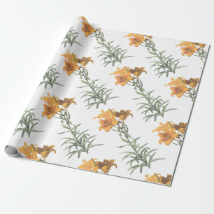 Oranje lelie Bloem Patroon Cadeaupapier