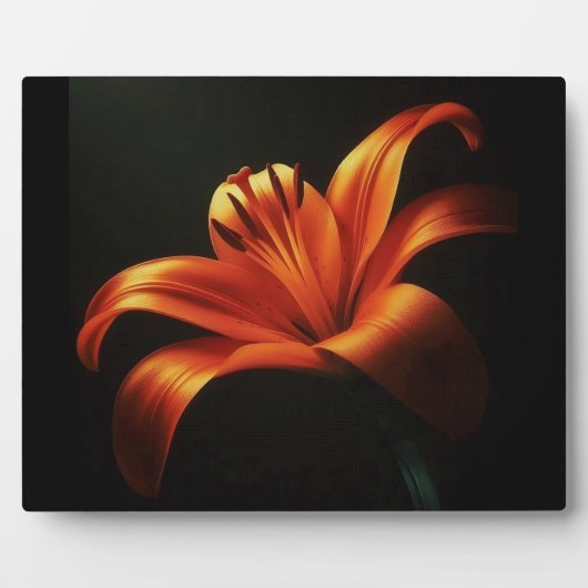 Oranje lelie op zwart fotoplaat (Voorkant)