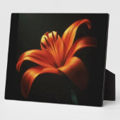 Oranje lelie op zwart fotoplaat (Zijkant)