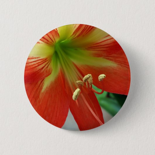 oranje lelie ronde button 5,7 cm (Voorkant)