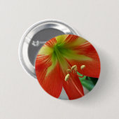 oranje lelie ronde button 5,7 cm (Voorkant /achterkant)