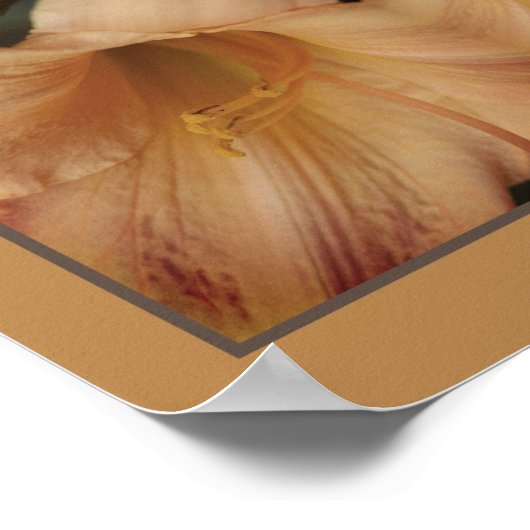 Oranje leliebloem Close Up Mirror Abstract Poster (Hoek)