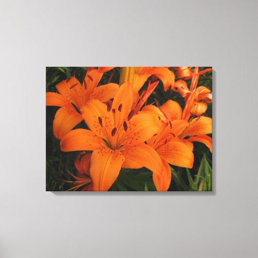 Oranje lelies gewikkeld doek canvas afdruk (Voorkant)