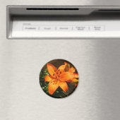 Oranje lelies magneet (Insitu (Vaatwasser))