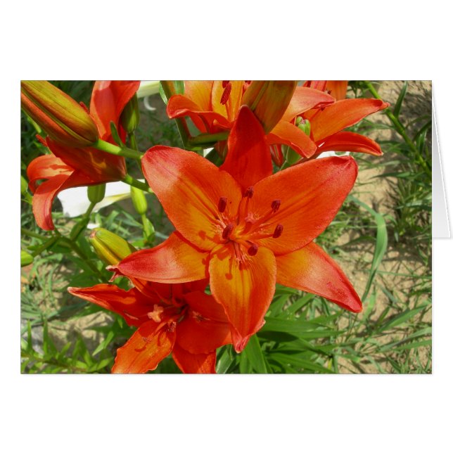 oranje lenskaart (Voorkant Horizontaal)