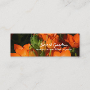 Oranje lente 1 — Floral fotografie Mini Visitekaartje