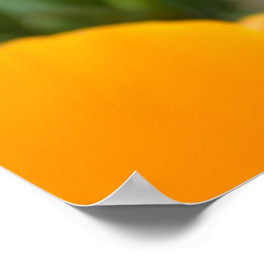 Oranje lentevloeren poster (Hoek)