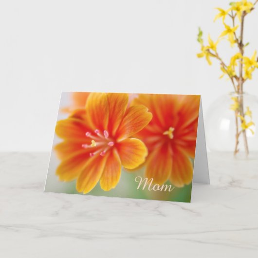 Oranje Lewisia Floral Moederdag Kaart (Gele Bloem)