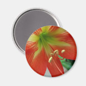 oranje lib magneet (Voorkant / Achterkant)