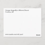 Oranje libel Briefkaart (Achterkant)