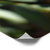 Oranje libellen met open vleugels poster (Hoek)