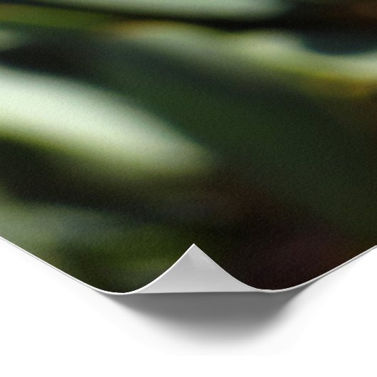 Oranje libellen met open vleugels poster (Hoek)