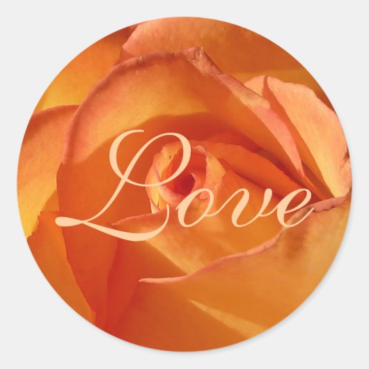 Oranje Liefde Roos Sticker (Voorkant)