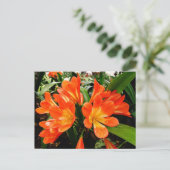 Oranje Lillies Flowers @ Funchal, Portugal Briefkaart (Staand voorkant)
