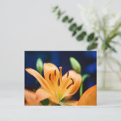 Oranje Lilly Flower Blossom Briefkaart (Staand voorkant)