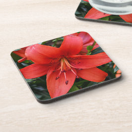 Oranje Lily Bloom Floral Bier Onderzetter