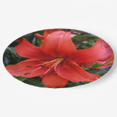 Oranje Lily Bloom Floral Papieren Bordje (Gekanteld)