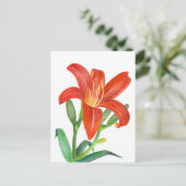 Oranje Lily Botanische illustratie Briefkaart (Staand voorkant)